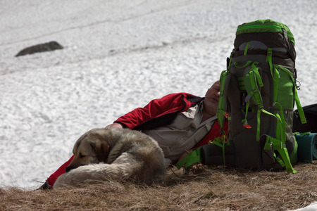 Hiker with big backpack and dog resting near snowy glacier at high mountainsの写真素材