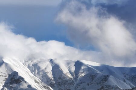 View on snowy off-piste slope with forest and sunlight sky with clouds in sun winter evening. Caucasus Mountains. Georgia, region Gudauri.の写真素材