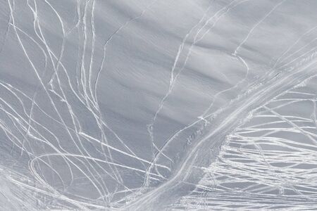 Snowy off piste slope with traces of skis and snowboards at sun winter dayの写真素材