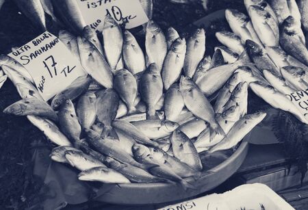 Raw wet bluefish with price tag at fish market in Istanbul, Turkey. Black and white retro toned image.の写真素材
