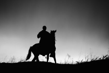 Silhouette of rider on horseback at sunset over field. Black and white toned landscape.の写真素材