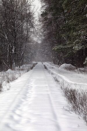 Snow-covered railway track in snowy winter forest after snowfall. Abandoned old railroad.の写真素材