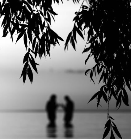 Blurred silhouette of young couple in love, standing in the sea. Silhouette of tree branches in the...