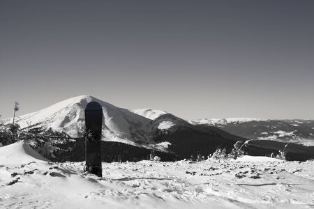 Snowboard in snow and snow-capped mountains at sunny cold morning. Mount Petros (Chornohora) at background, black and white view from slope of Mount Hoverla. Carpathian Mountains in winter, Ukraine. の写真素材