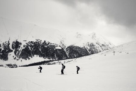 Off-piste snowy ski slope with skiers in high mountains and cloudy sky at winter grey day. Ski area Mottolino, Italian Alps. Livigno Lombardy Italy, Europe. Black and white retro toned landscape.の写真素材