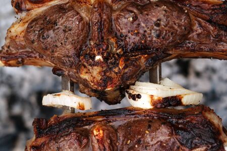 Onion rings and shashlik of lamb with fried crust on barbecue skewer. Outdoor cooking on bonfire. Close-up view.の写真素材