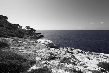 Clear sea and rocky sunlit coast with trees at sunny summer day. Mediterranean sea, Turkey. Wide angle view. Black and white toned landscape.の写真素材