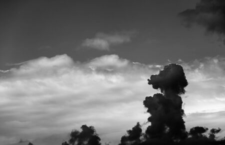 Clouds in form of animals at evening. Black and white toned cloudscape.の写真素材