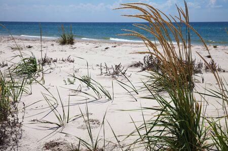 Blue sky, sea and sand with grass on deserted beach at hot summer dayの写真素材