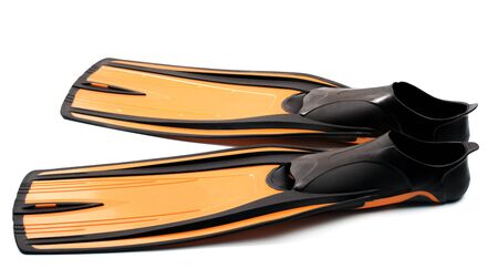 Flippers for diving isolated on white background with shadowの写真素材