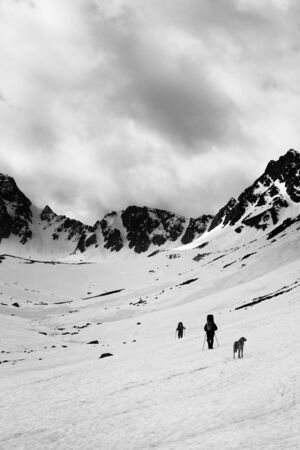 Two trekkers with dog on snowy plateau in high mountains and cloudy storm sky at gray day. Turkey, Kachkar Mountains, highest part of Pontic Mountains. Black and white toned landscape. High contrast.の写真素材