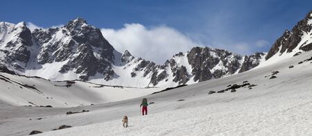Dog and trekker on snowy plateau in high mountains and blue sky with clouds at sunny day. Turkey, Kachkar Mountains, highest part of Pontic Mountains. Panoramic view.の写真素材