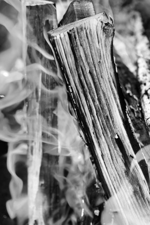Black and white view of burning logs with smoke in campfire. Close-up viewの写真素材