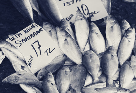 Raw wet bluefish with price tag at fish market in Istanbul, Turkey. Black and white retro toned image.の写真素材