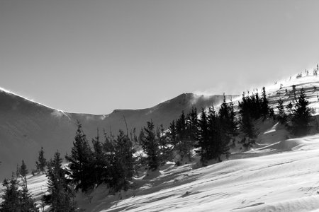 Winter snowy mountains at sun windy day. Ukraine, Carpathian Mountains, Mount Hoverla. Black and white toned landscape.の写真素材