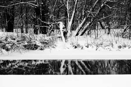 Black and white snowy forest, ice covered river and polynya with reflection of trees at gray snowing winter day. High contrast.の写真素材