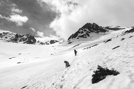 Dog and hiker in snowy mountains. Turkey, Kachkar, highest part of Pontic Mountains. Wide angle view. Black and white toned landscape.の写真素材