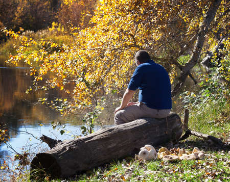 Man sitting with his back on wooden log by river. Tourist basks in sun at sunlight multicolor autumn forest.の写真素材