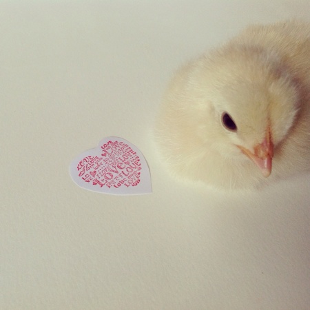 Loveの素材