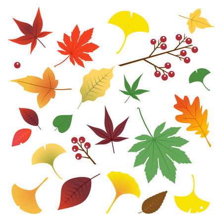 autumn leavesのイラスト素材
