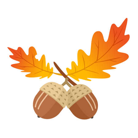 ACORN illustrationsのイラスト素材