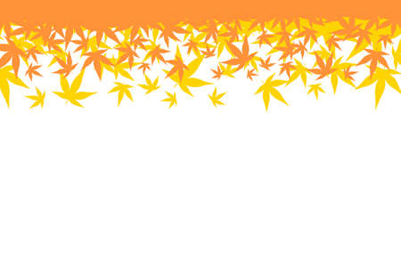 Maple Leafのイラスト素材