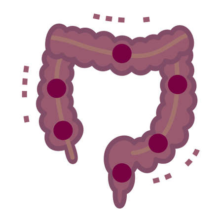 Illustration of large intestineのイラスト素材