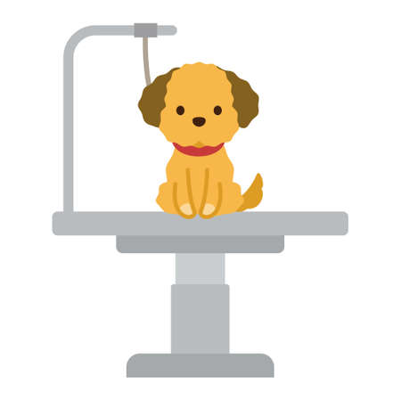 Dog on haircut tableのイラスト素材
