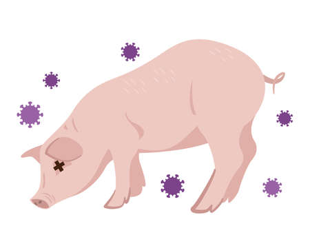 Illustration of swine fluのイラスト素材
