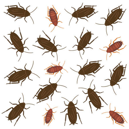 Illustration of a group of cockroachesのイラスト素材