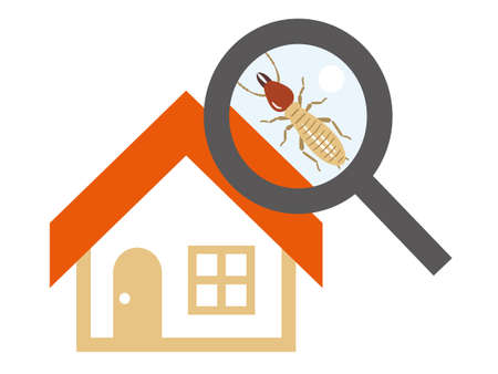 Termite Settled House and Loupeのイラスト素材
