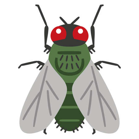 Illustration of Flies on white background.のイラスト素材