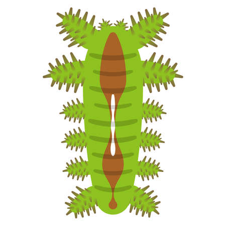 Illustration of larva of Iragaのイラスト素材