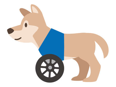 Illustration of a dog wheelchair on a white backgroundのイラスト素材