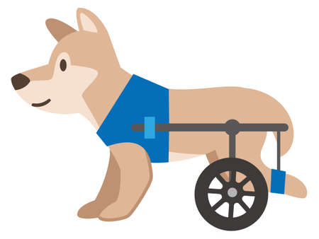 Illustration of a dog wheelchair on a white backgroundのイラスト素材