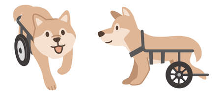 Illustration of a dog wheelchair on a white backgroundのイラスト素材