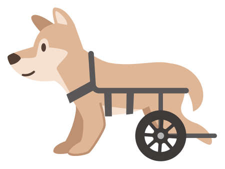 Illustration of a dog wheelchair on a white backgroundのイラスト素材
