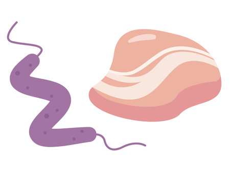 Campylobacter and chicken simple vector illustrationのイラスト素材