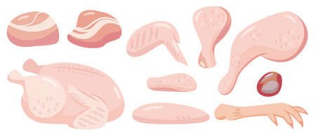 Chicken raw meat simple vector illustration setのイラスト素材