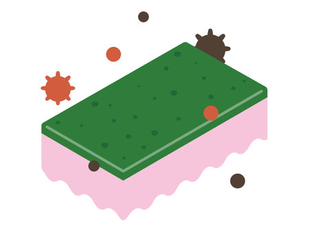 Vector illustration of a sponge with bacteria growing on itのイラスト素材