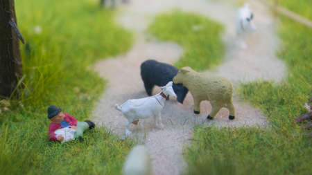 miniature toys. farmer grazing sheep and goatsの写真素材