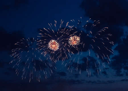 May 9 festive fireworks. fireworks in the night sky.の写真素材