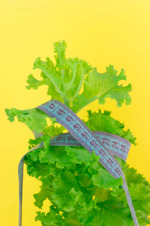 Diet concept - lettuce and measure tape.nutrition concept to reduce waist.quarantined weight lossの写真素材