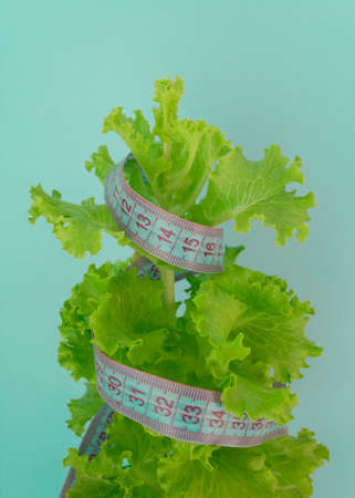 Diet concept - lettuce and measure tape.nutrition concept to reduce waist.quarantined weight loss.の写真素材