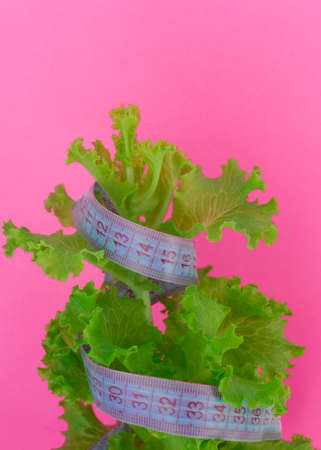 Diet concept - lettuce and measure tape.nutrition concept to reduce waist.quarantined weight loss.の写真素材