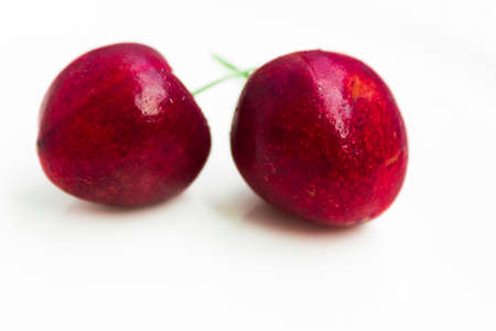 two isolated red ripe and sweet cherries.copy space.の写真素材