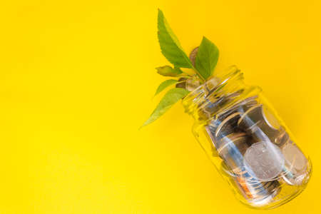 The concept of saving and increasing cash savings. currency and investment growth concept. oins inside a glass jar with a small green plant sprouting to represent investment or wealthの写真素材