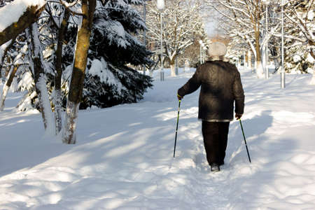 Senior at the snow in winter nordic walkingの写真素材