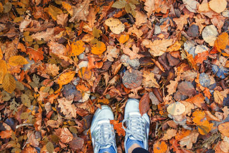 multicolor autumn leaves with female feet closeupの写真素材