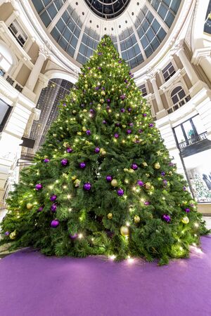Huge christmas tree in The Hague celebrating the Christmas and the New Year seasonの写真素材